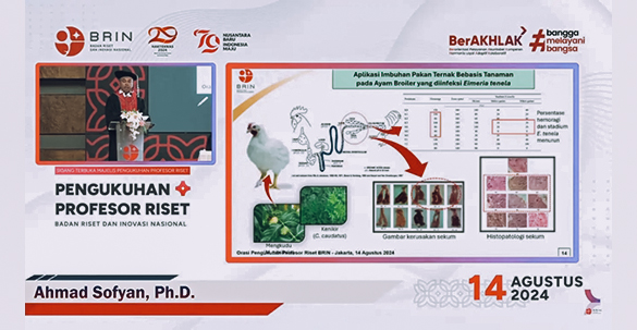 Pengembangan Imbuhan Pakan Berbasis Mikroba dan Bioaktif Tanaman