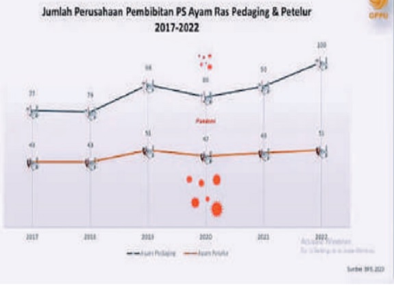 Addressing Persistent Challenges in the Poultry Industry