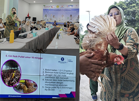 Penguatan Kapasitas Pendamping Program Ayam Merah Putih