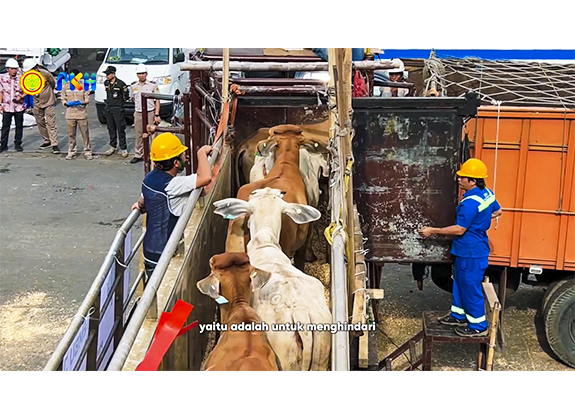 Wujudkan Ketahanan Pangan Indonesia Perlu Sumber Negara Impor