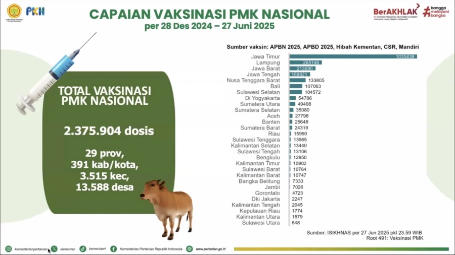 Kasus PMK Dilaporkan Menurun, Bulan Vaksinasi Tahap Kedua Segera Digulirkan 4 Capaian Vaksinasi PMK Nasional
