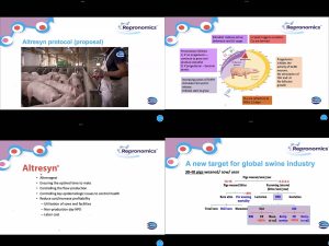 Ceva Introduksi Altresyn dalam Sinkronisasi Estrus Babi