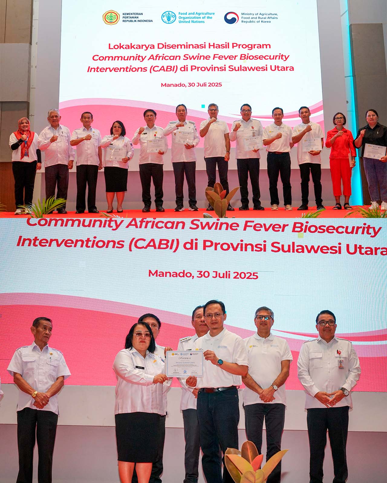 Sulawesi Utara Jadi Model Tangguh Lawan ASF