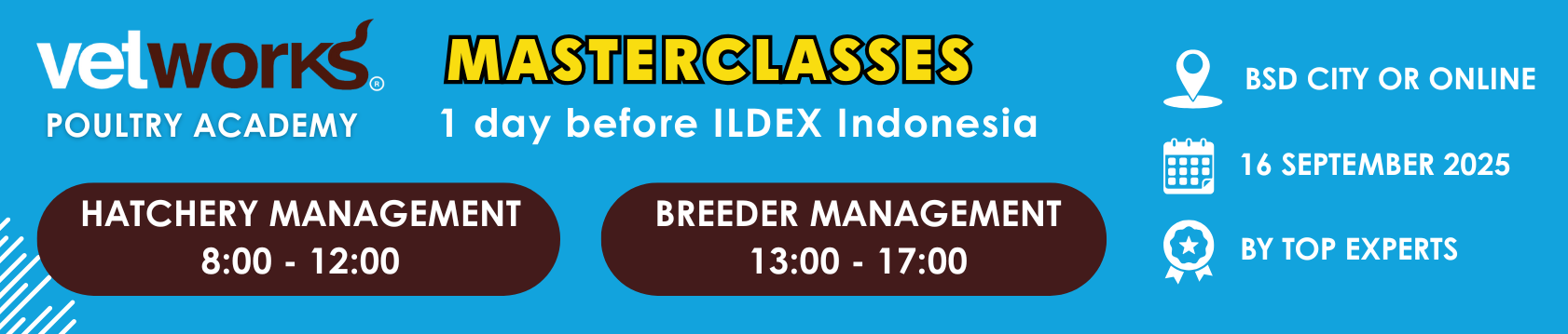 Vetworks Masterclass Indonesia ad website 585 ph x h 125