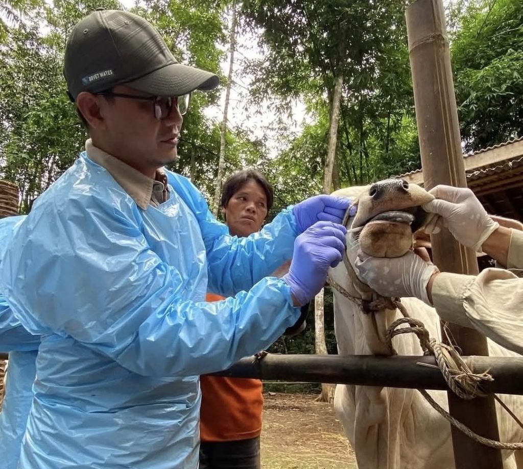 WhatsApp Image 2025 07 14 at 15.46.46