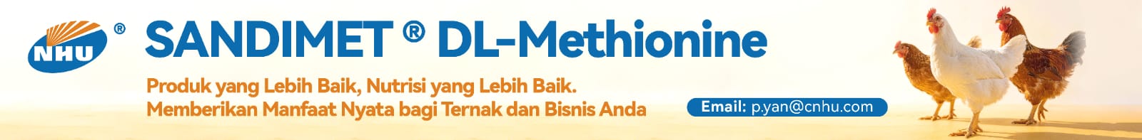 Banner Home - Atas 3 WhatsApp Image 2026 10 07 at 11.44.04