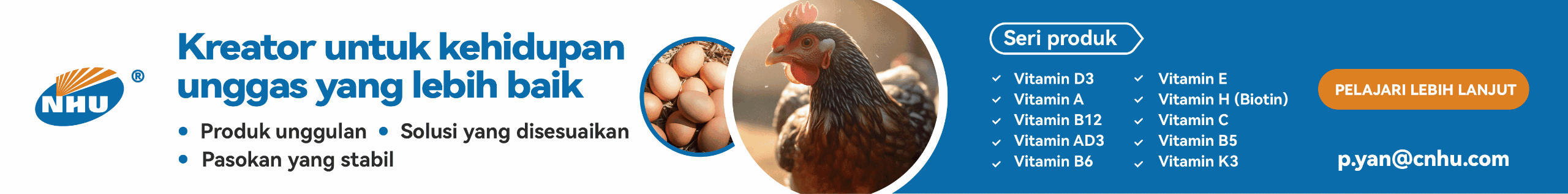 Banner Home - Atas 3 website banner 2