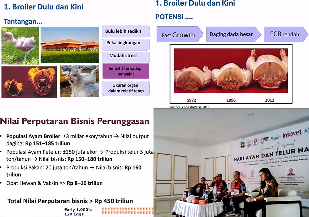 Peluang Karir Lulusan Peternakan di Industri Perunggasan