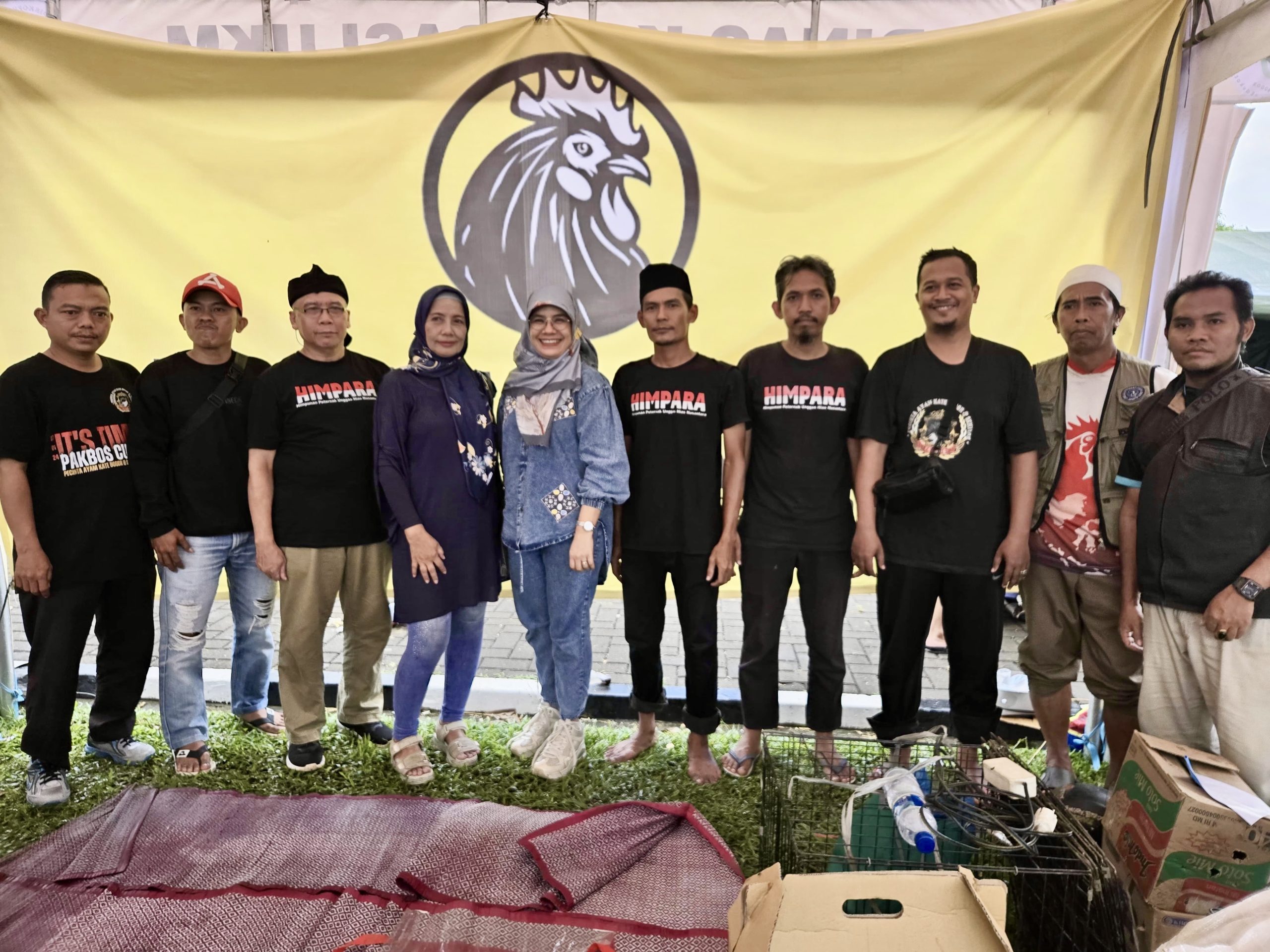 Standarisasi Ayam Cemani & Kate untuk Kontes Nasional