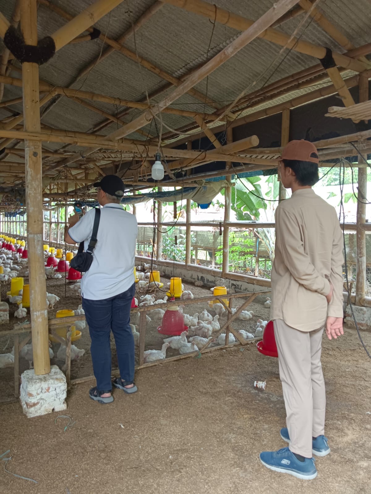Desakan Permindo: Tegakkan UU dan Tata Ulang Distribusi Bisnis Broiler 4 0773fda4 c61a 4145 9eed c5cac7449099 1