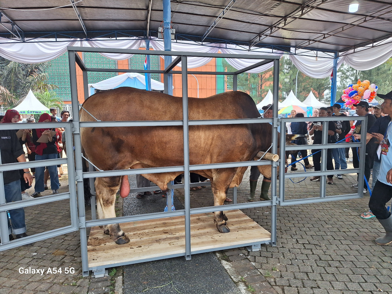 HPDKI dan APPSI Meriahkan BBPKSH 4 WhatsApp Image 2025 10 07 at 15.01.44 1