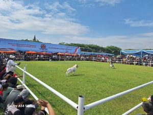 HPDKI dan APPSI Meriahkan BBPKSH