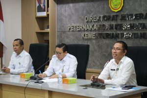 Sinergi Menjaga Stabilitas Harga Ayam Ras Jelang Akhir Tahun