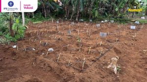 Pengembangan Budidaya HPT Ramah Lingkungan