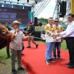 Festival Sapi APPSI Jember Ajang Kebangkitan Peternakan Rakyat