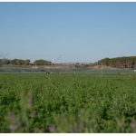 EU Dehydrated Fodder Hadirkan Solusi Pakan Berkualitas