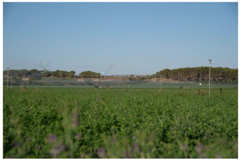 94dce87c-70e4-4481-9bc5-f5298973c02d