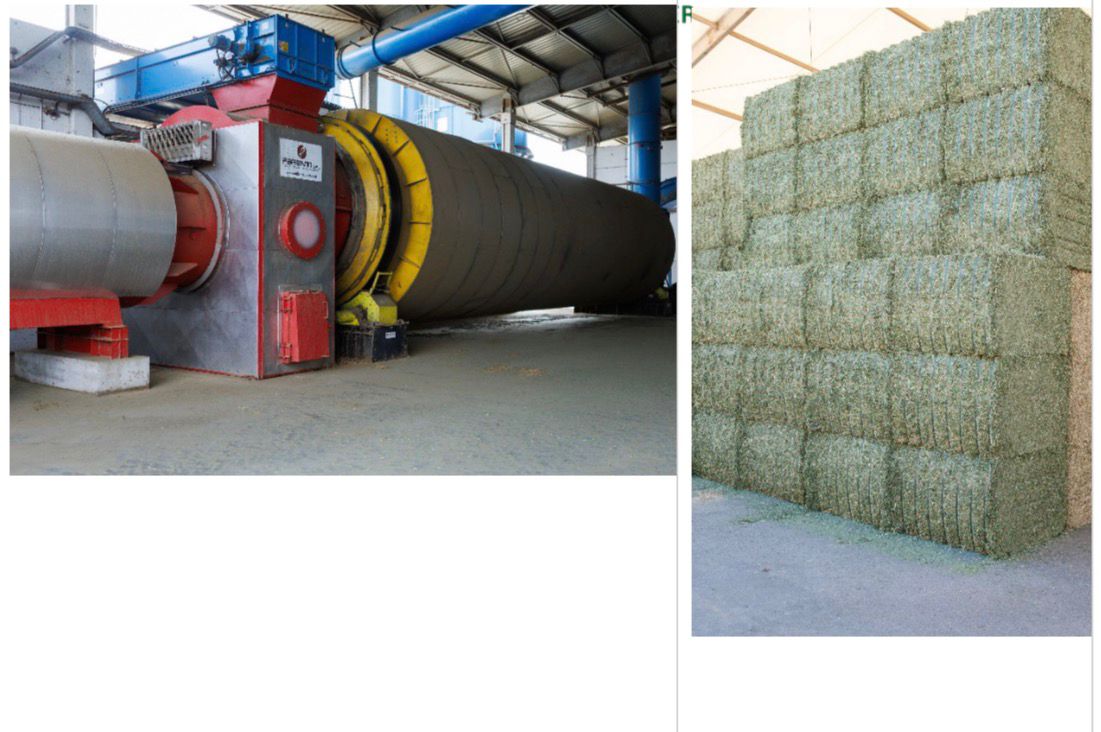 EU Dehydrated Fodder Hadirkan Solusi Pakan Berkualitas 5 c6315cd6 d014 485b 8a84 ad496afe5832