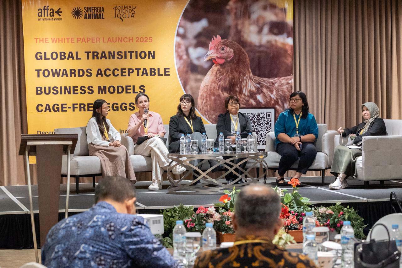 Diskusi Lintas Instansi Bahas Bisnis Telur Cage-Free