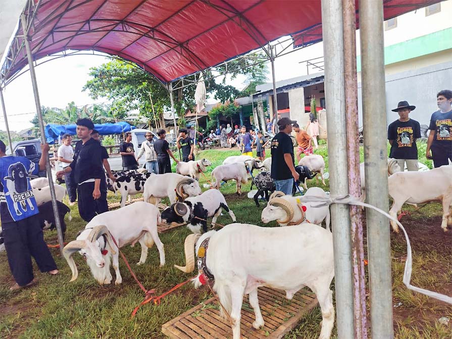 DPC HPDKI Kab Bogor Gelar Latber SKDG 4 WhatsApp Image 2025 12 24 at 11.15.37