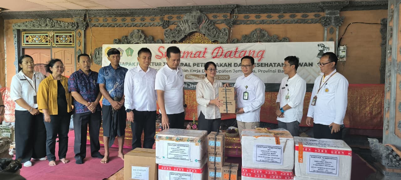 Penyaluran Vaksin LSD ke Peternak Sapi Jembrana