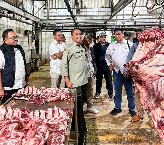 APDI Urungkan Mogok, Pasokan Daging Sapi Aman