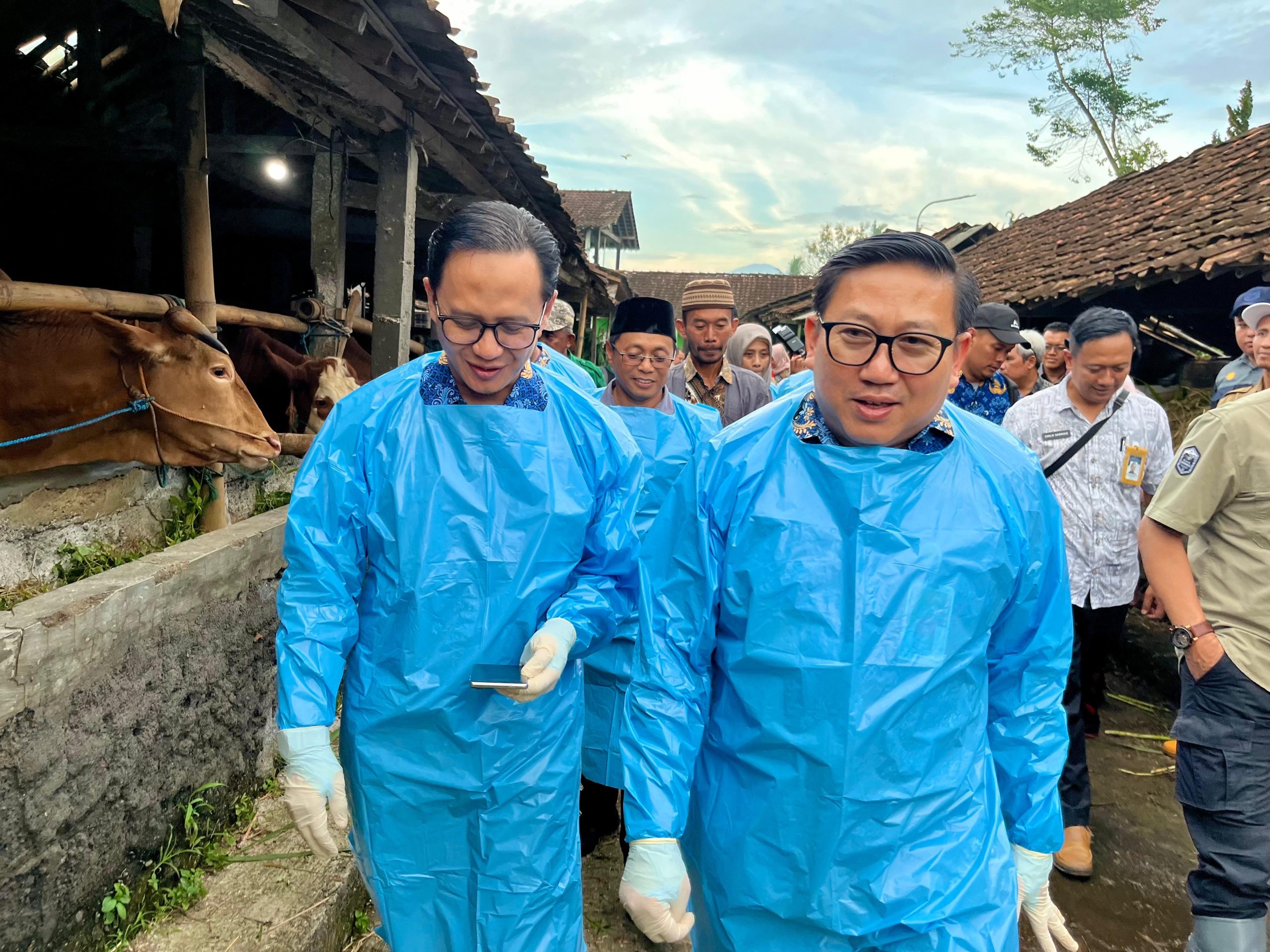 Tepis PMK dengan Vaksinasi secara Rutin