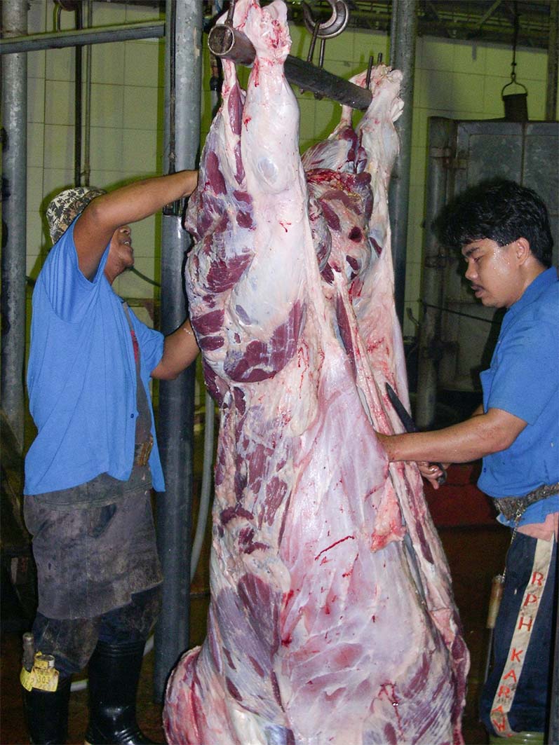 Pemerintah Larang RPH Naikkan Harga Daging 5 WhatsApp Image 2026 02 06 at 15.46.55 1