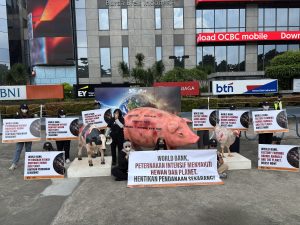 AFFA Desak World Bank Stop Danai Peternakan Tak Ramah Lingkungan   