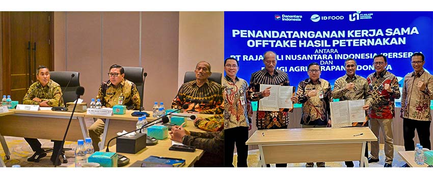 Kementan Kawal Hilirisasi Ayam di Sulsel   