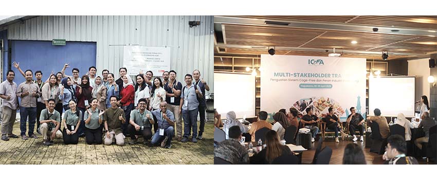 ICFA Ajak Industri Perkuat Cage-Free