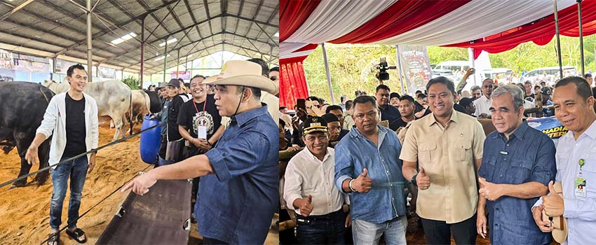 Wonosobo Dirancang sebagai Sentra Susu Nasional   