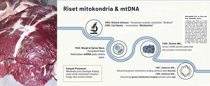 Teknologi mtDNA Verifikasi Keaslian Pangan   