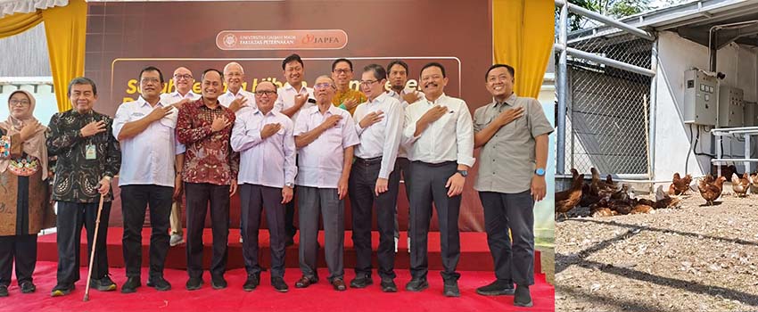 JAPFA dan UGM Hadirkan Fasilitas Layer Free-Range Berbasis Riset dan Keswan