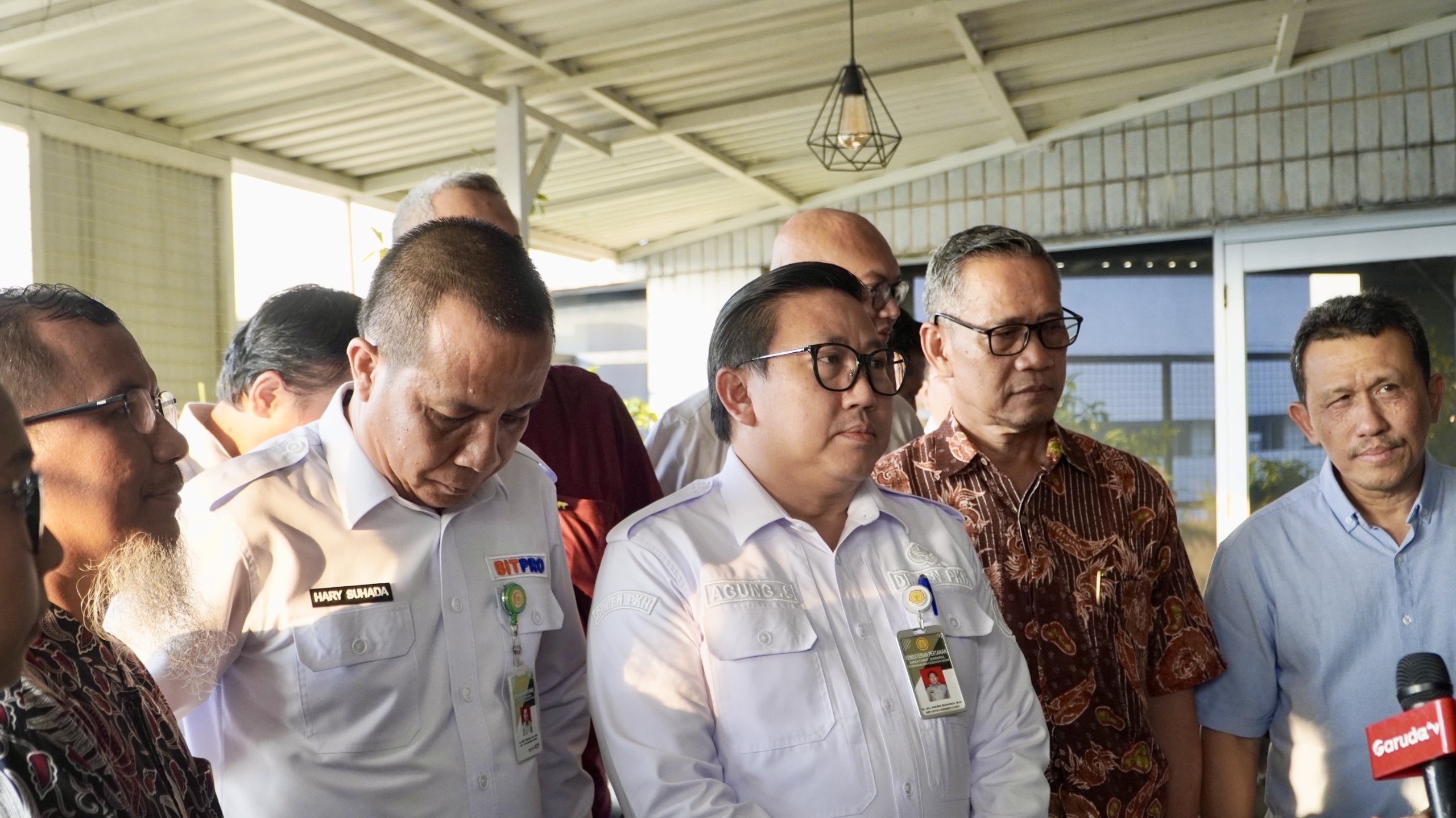 Harga Ayam Mulai Terkerek