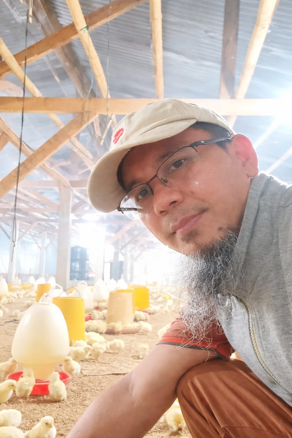 Urgensi Reformasi Tata Kelola Industri Perunggasan Nasional
