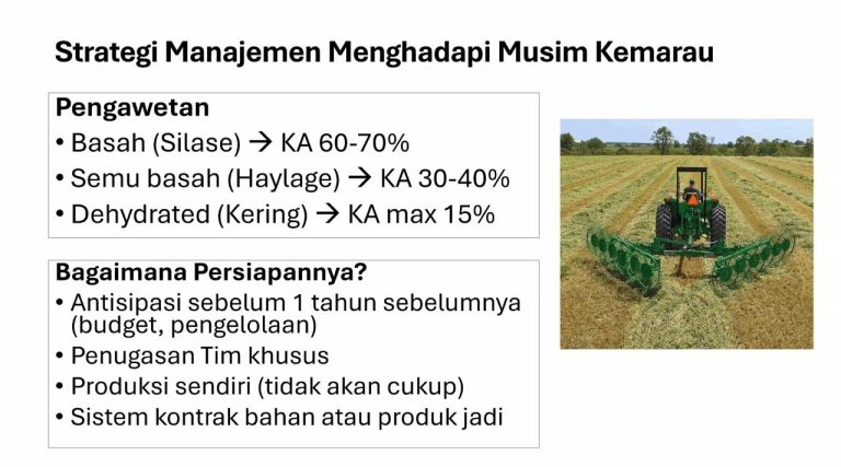 Istimewa