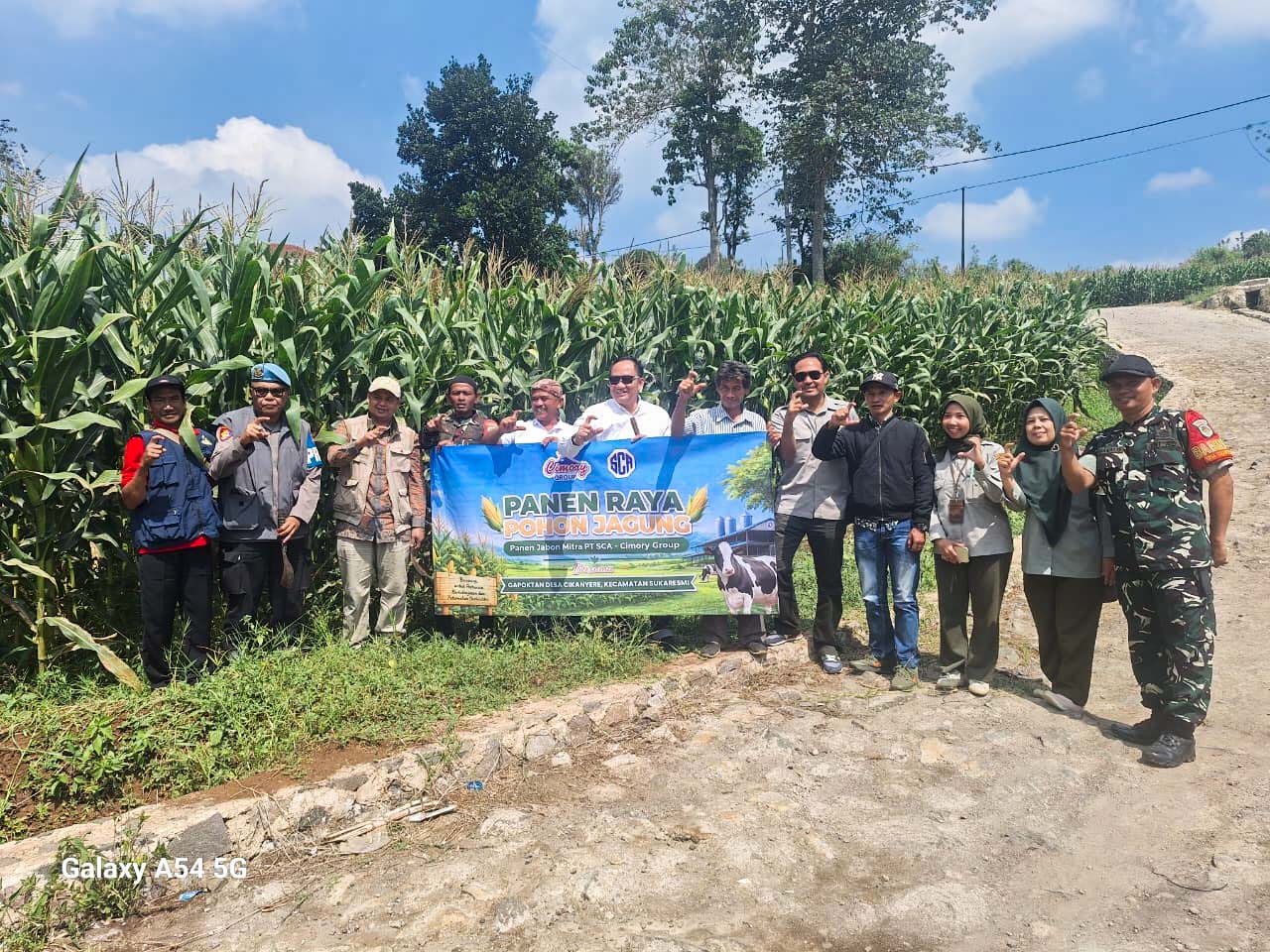 PT SCA (Cimory Group) Dukung Ketahanan Pangan Nasional melalui Panen Raya Jagung di Cianjur