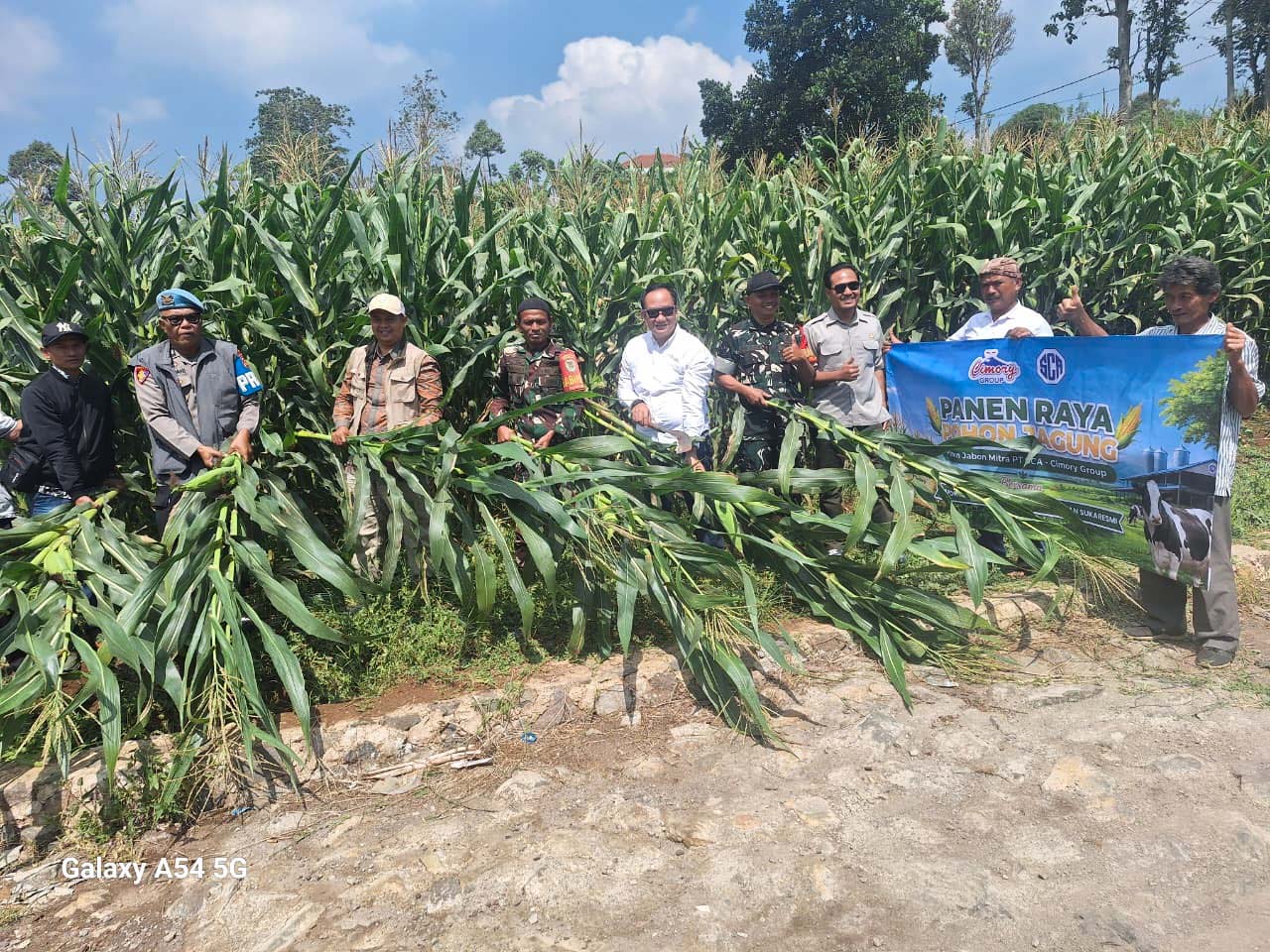 PT SCA (Cimory Group) Dukung Ketahanan Pangan Nasional melalui Panen Raya Jagung di Cianjur 4 WhatsApp Image 2026 07 16 at 11.19.36