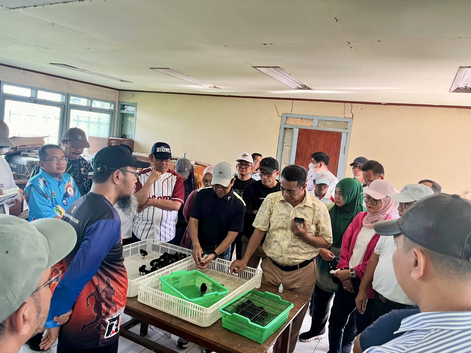 Kementan Dukung Pengembangan 5.000 PS Ayam ALOPE UNHAS-1