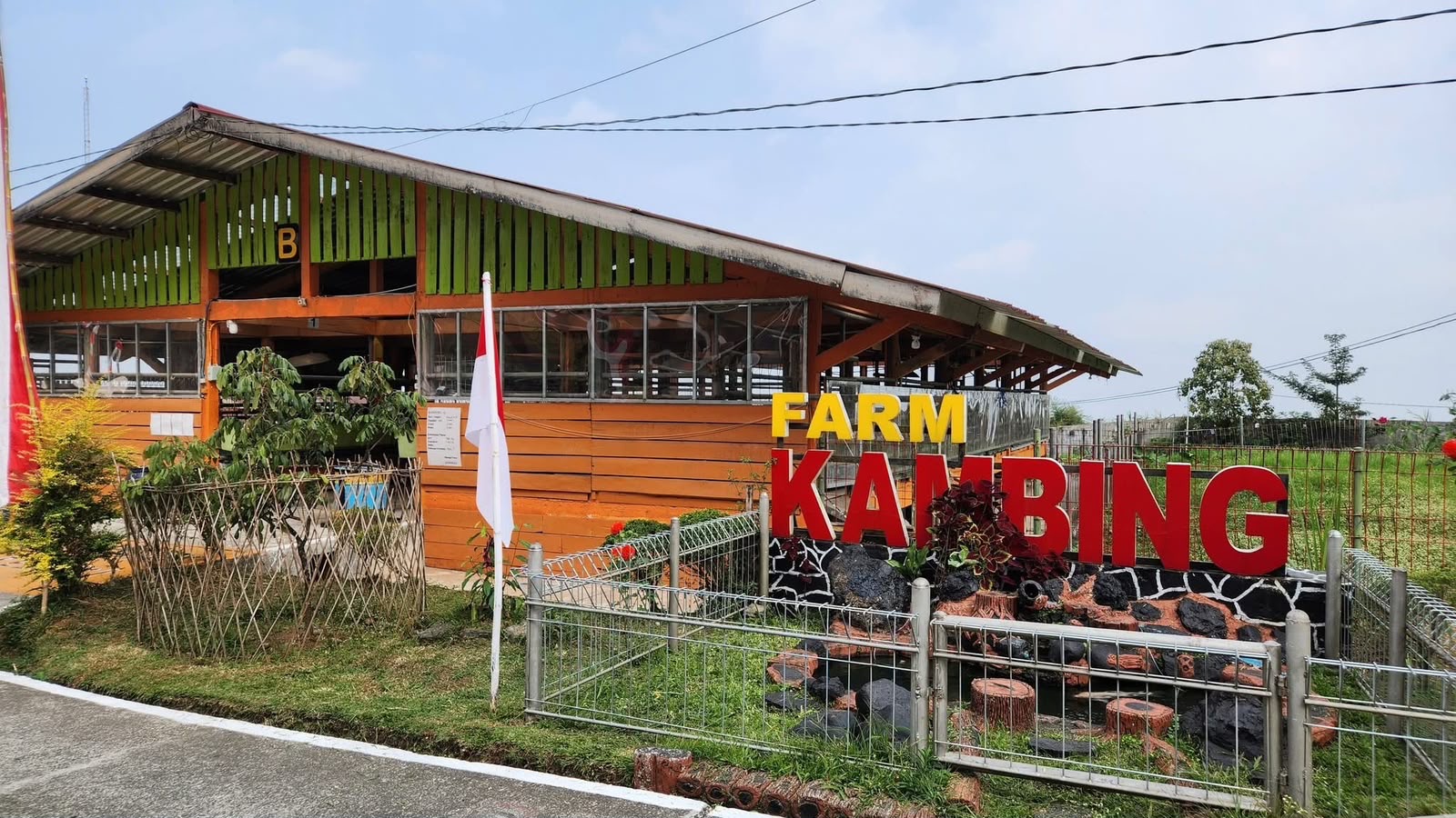 Ratusan Bibit Kambing Saanen Siap Disalurkan Ke Peternak
