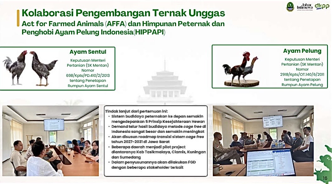 AFFA Gandeng Pemprov Jabar Sosialisasikan Cage-Free