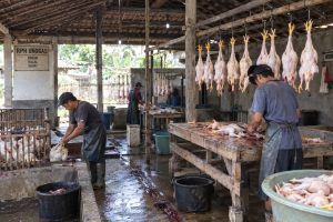 Pemerintah Mediasi RPHU Belum Berizin di Blitar
