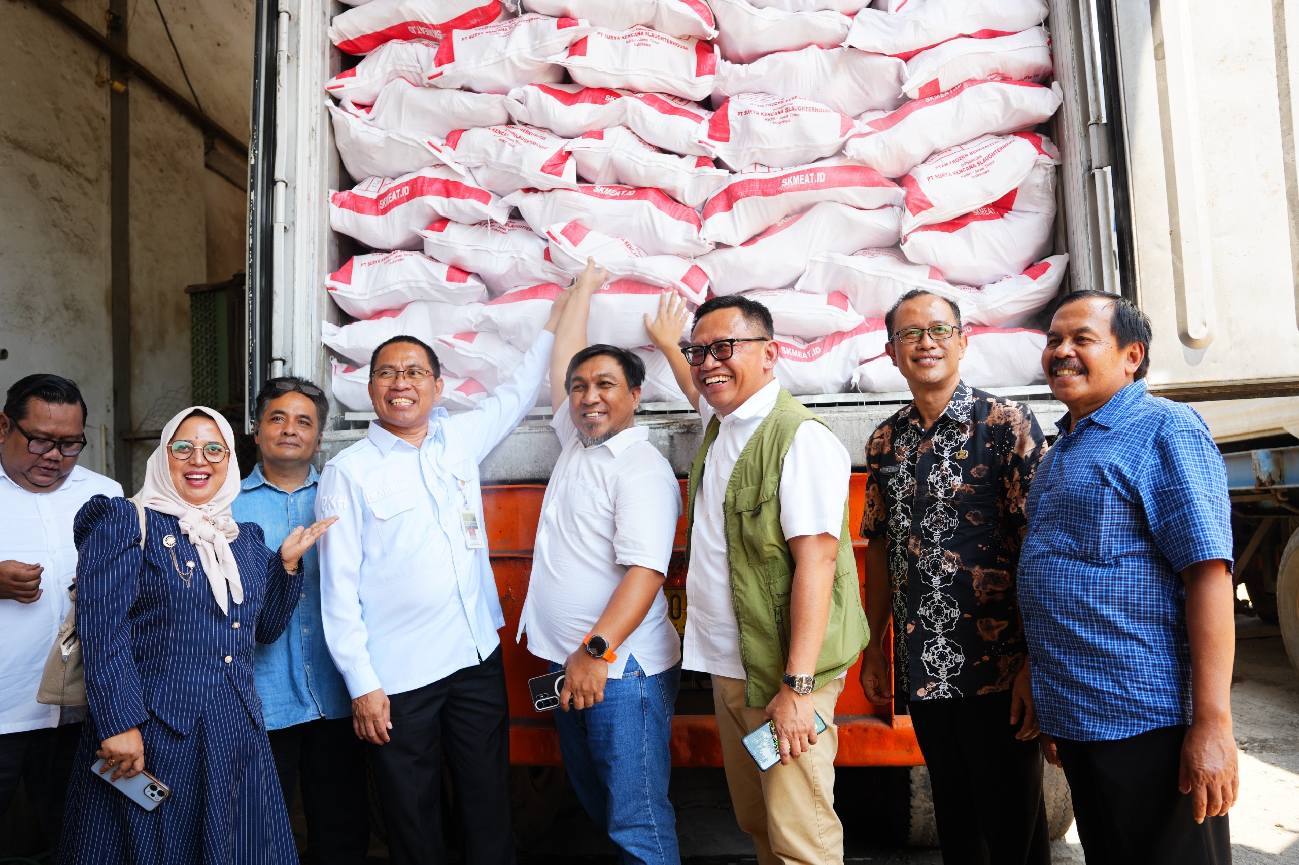 Perdana, 40 Ton Karkas Ayam Layer Afkir Dikirim ke Makassar, Koperasi Perkuat Posisi Tawar Peternak