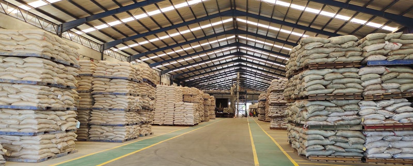 Permindo: Harga Bahan Baku Pakan Tinggi, Harga LB Jangan di Bawah HAP