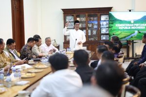 Penyerapan Jagung Saat Panen Raya untuk Tekan Harga Pakan