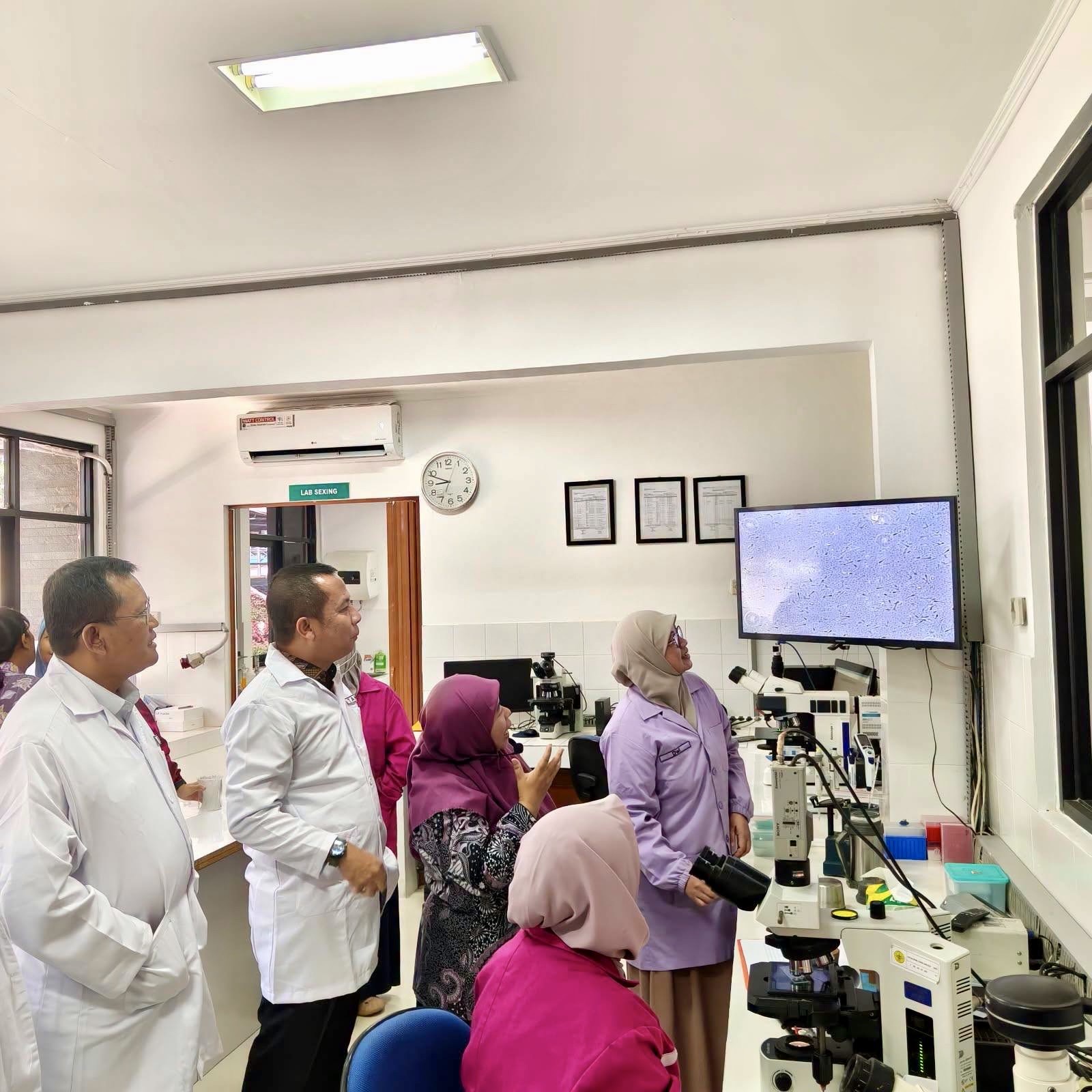 Penyaluran Semen Beku Sapi Gama untuk Perkuat Produktivitas Pasca Bencana 4 c4beb51b 17de 498f 925e 57124badef8e